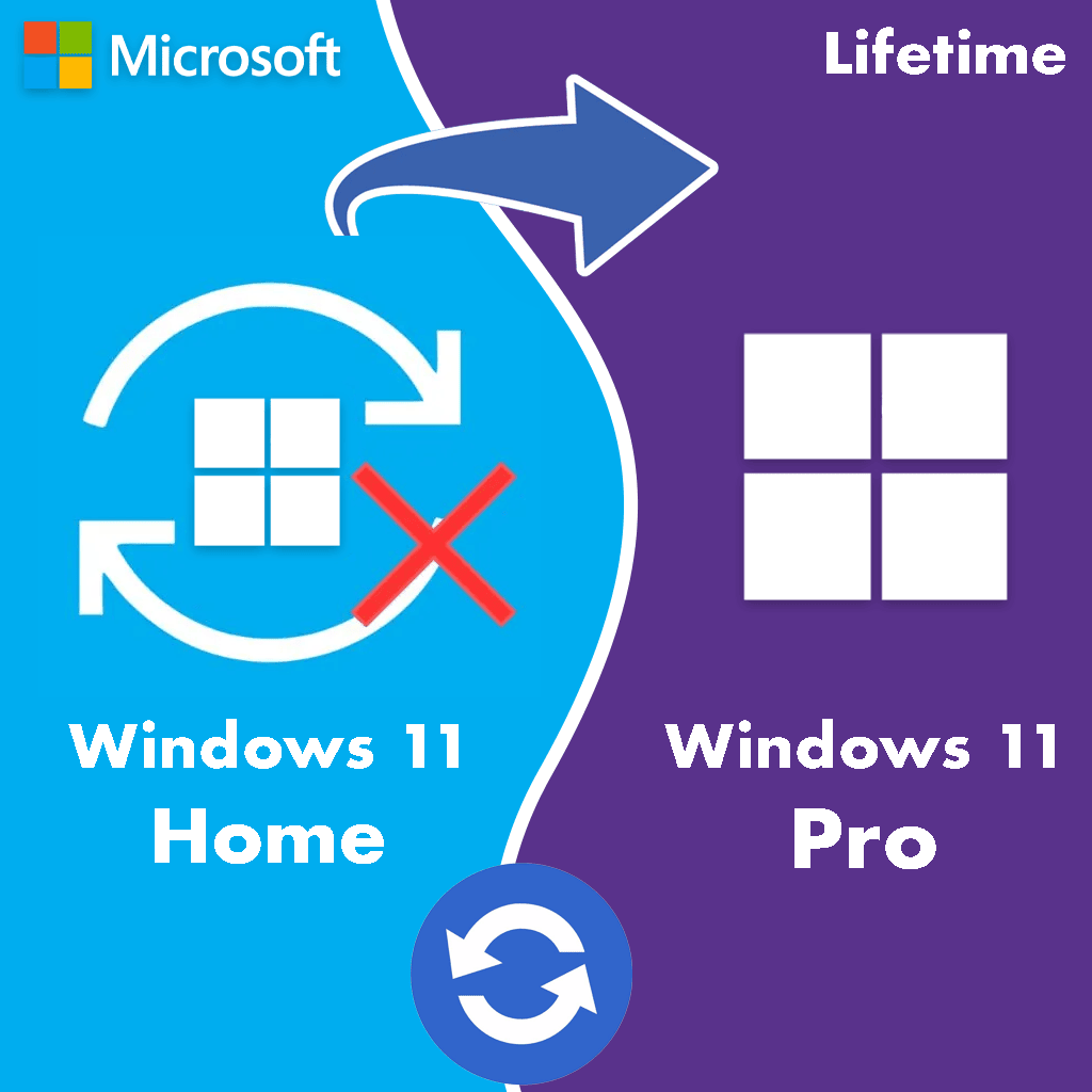 Upgrade from Windows 11 Home To Professional